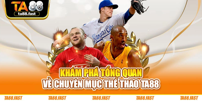 Khám phá tổng quan về chuyên mục thể thao TA88